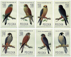 61671 MNH POLONIA 1975 HALCONES - Unclassified