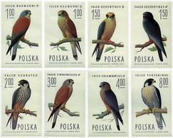 61671 MNH POLONIA 1975 HALCONES - Ohne Zuordnung