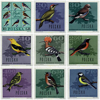 61625 MNH POLONIA 1966 PAJAROS DEL BOSQUE - Non Classés