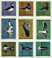 61608 MNH POLONIA 1964 AVES ACUATICAS - Sin Clasificación