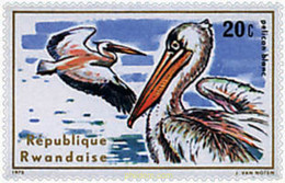 639350 MNH RUANDA 1975 AVES ACUATICAS - 1970-1979