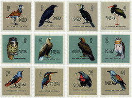 61574 MNH POLONIA 1960 AVES - Zonder Classificatie