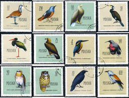 230523 USED POLONIA 1960 AVES - Unclassified