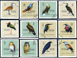 230523 USED POLONIA 1960 AVES - Ohne Zuordnung