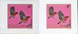 221829 MNH RUANDA 1972 AVES - 1970-1979