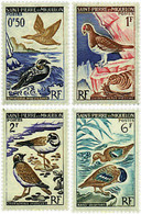 36942 MNH SAN PEDRO Y MIQUELON 1963 AVES - Gebruikt