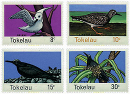 45588 MNH TOKELAU 1977 AVES - Tokelau