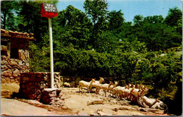 Tennessee Chattanooga Lookout Mountain Rock City Deer Park - Chattanooga