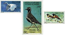 35968 MNH POLINESIA FRANCESA 1982 AVES - Usati