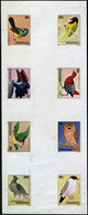 221919 MNH RUANDA 1980 AVES - 1980-1989