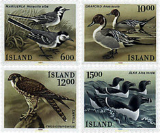 66903 MNH ISLANDIA 1986 AVES - Lots & Serien