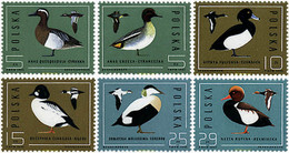 61712 MNH POLONIA 1985 PATOS - Unclassified