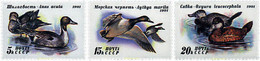 63561 MNH UNION SOVIETICA 1991 PATOS - Collezioni