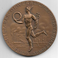 1390y: Medaille Der Kammer Der Gewerblichen Wirtschaft Burgenland 1970 In Bronze, "Für Besondere Verdienste" - Firma's