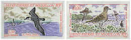 36951 MNH SAN PEDRO Y MIQUELON 1993 AVES MIGRATORIAS - Oblitérés