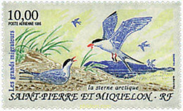 36952 MNH SAN PEDRO Y MIQUELON 1995 AVES MIGRATORIAS - Usados