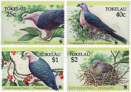 74137 MNH TOKELAU 1995 DUCULA PACIFICA - Tokelau