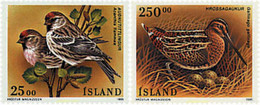 66927 MNH ISLANDIA 1995 AVES - Collezioni & Lotti