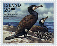 273011 MNH ISLANDIA 1996 AVES - Collezioni & Lotti