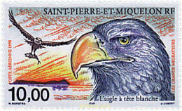 36956 MNH SAN PEDRO Y MIQUELON 1998 LOS GRANDES MIGRADORES - Oblitérés