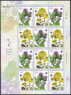 South Korea KPCC2957-8 Flowering Vegetable Plant, Burdock, Mustard Leaf, Plantes, Full Sheet - Legumbres