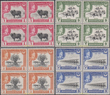 621695 MNH BAHAWALPUR 1949 25 ANIVERSARIO DEL SOBERANO - Bahawalpur