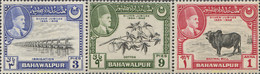 662193 MNH BAHAWALPUR 1949 25 ANIVERSARIO DEL SOBERANO - Bahawalpur