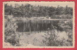 Lommel - Zwembad Katenbos - 1956 ( Verso Zien ) - Lommel