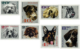 61637 MNH POLONIA 1969 PERROS DE RAZA - Ohne Zuordnung