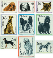 61606 MNH POLONIA 1963 PERROS DE RAZA - Ohne Zuordnung