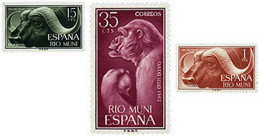 28676 MNH RIO MUNI 1962 FAUNA - Chimpanzés