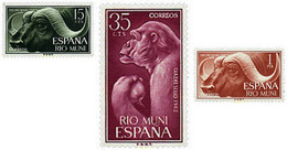 28676 MNH RIO MUNI 1962 FAUNA - Chimpansees