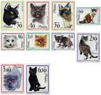 48383 MNH POLONIA 1964 GATOS - Ohne Zuordnung