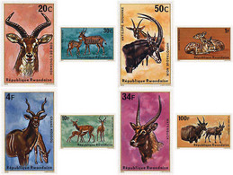 56506 MNH RUANDA 1975 ANTILOPES - 1970-1979