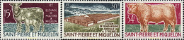 29786 MNH SAN PEDRO Y MIQUELON 1970 GANADERIA - Gebruikt