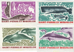 148204 MNH SAN PEDRO Y MIQUELON 1969 MAMIFEROS MARINOS - Gebruikt