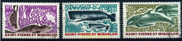 207513 USED SAN PEDRO Y MIQUELON 1969 MAMIFEROS MARINOS - Used Stamps