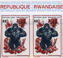 221447 MNH RUANDA 1970 GORILAS - 1970-1979