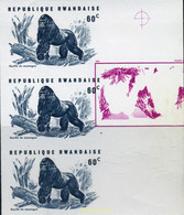 221460 MNH RUANDA 1970 GORILAS - 1970-1979