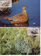 SOUTH AFRICA / BOPHUTHATSWANA 1990: BIRDS, 2 Maximum Cards - Registered Shipping! - Brieven En Documenten
