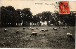 CPA ECOUCHE - Champ De Foire (195637) - Ecouche