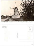 Zwevegem   Stenen Molen - Zwevegem