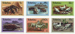 45602 MNH TOKELAU 1986 FAUNA - Tokelau