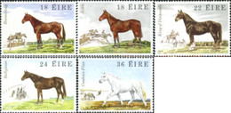 77428 MNH IRLANDA 1981 CABALLOS IRLANDESES - Collections, Lots & Séries