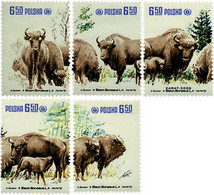 61699 MNH POLONIA 1981 PROTECCION DE LA NATURALEZA. BISONTES. - Non Classificati