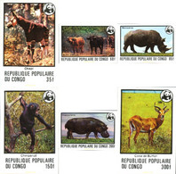 14951 MNH CONGO 1978 FAUNA EN PELIGRO DE EXTINCION - Chimpancés