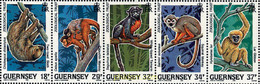 166960 MNH GUERNSEY 1989 PROTECCION DE LA NATURALEZA - Chimpanzés