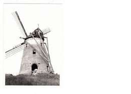 Roksem  Oudenburg   FOTO Van De Molen  1980  MOLEN  MOULIN - Oudenburg