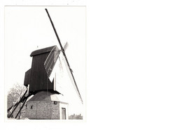 Brugge    FOTO Van De Molen Nieuwe Papegaai   Kruisvest  1980  MOLEN  MOULIN - Brugge