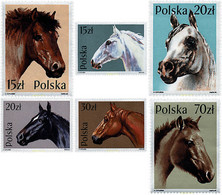 30471 MNH POLONIA 1989 RAZAS DE CABALLOS. - Unclassified